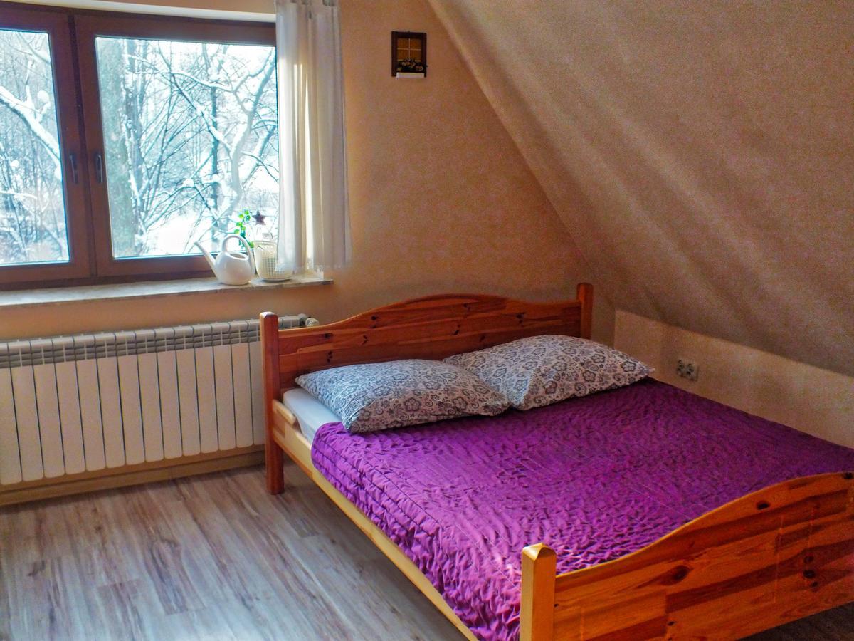 Noclegi W Centrum Sienkiewicza Zakopane Bagian luar foto